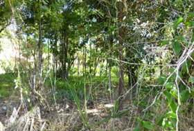 terreno a venda em arraial d'ajuda